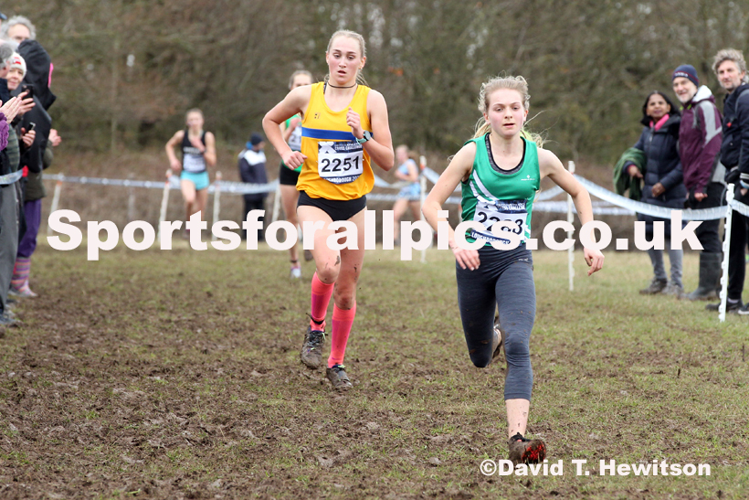 Womens under-17s, 2020 British Athletics Inter Counties Cross Country Champs., Prestwold Hall, Loughborough. Photo: David T. Hewitson/Sports for All Pics